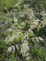IMG_20260604_112501.jpg