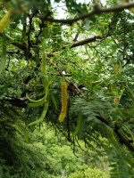 IMG_20260604_101003.jpg