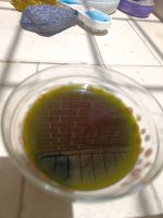 IMG_20260724_115715.jpg