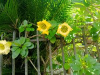 IMG_20260221_121308.jpg