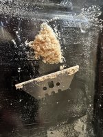 IMG_0325.jpeg
