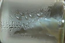 closed bottle + oxy.jpg