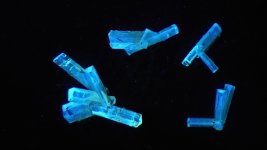 IMG_0141.jpg