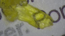IMG_0272.jpg