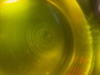 IMG_1985.jpeg