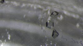 IMG_0283.jpg