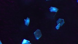 IMG_0301.jpg