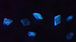 IMG_0302.jpg