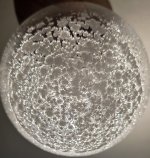 1000008082.jpg