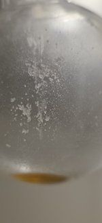 1000008245.jpg