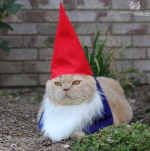 1790455791526.png