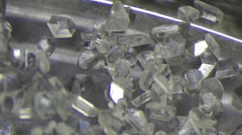 IMG_0316.jpg