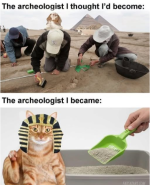 1790699867077.png