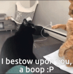 i-bestow-upon-you-a-boop-ollie-boop.gif
