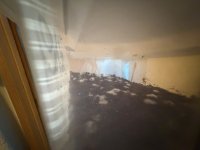 IMG_2161.jpeg