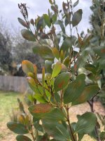 IMG_4248.jpeg