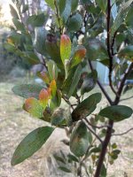 IMG_4196.jpeg