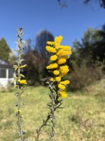 IMG_4124.jpeg
