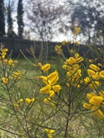 IMG_4105.jpeg