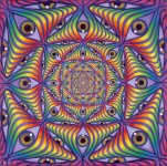 IMG_1446.jpeg
