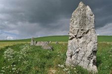 Balquhain stone circle.jpg