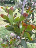 IMG_4304.jpeg