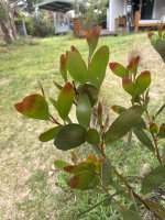IMG_4302.jpeg