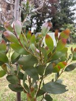 IMG_4298.jpeg