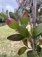 IMG_4296.jpeg