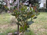 IMG_4305.jpeg