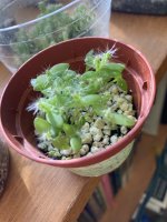 IMG_1322.jpeg