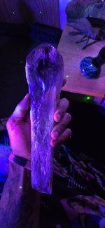 20261020_183954.jpg