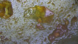 IMG_0357.jpg