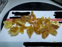 IMG_1520.jpeg