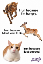 1793219063925.png