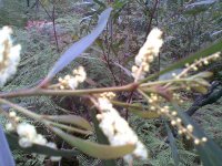 27122007(002)..jpg