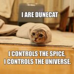 dunecat..jpg