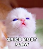 spicemustflow..jpg