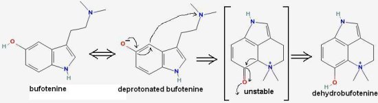 dehydrobufotenine..JPG