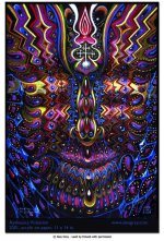 Alex+Grey+Ayahuasca+Visitation..jpg