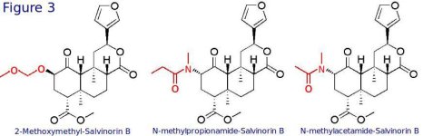 salvinorin+analogues..jpg