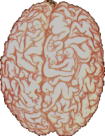 brain.gif