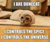 dunecat.jpg