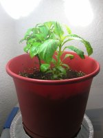 DSCN0800.JPG