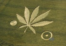 Crop-Circles2.jpg