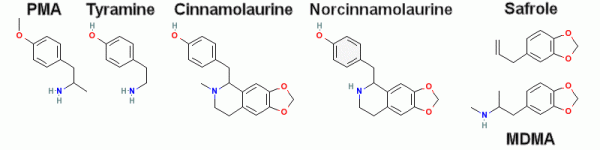 Cinnamolaurine-and-analogs.gif
