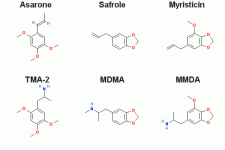 Asarone-TMA-Safrole-MDMA-Myristicin-MMDA.gif