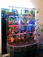 urban_garden01.jpg