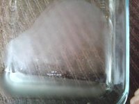 Picture+008.jpg