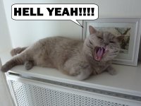 hellyeah.jpg
